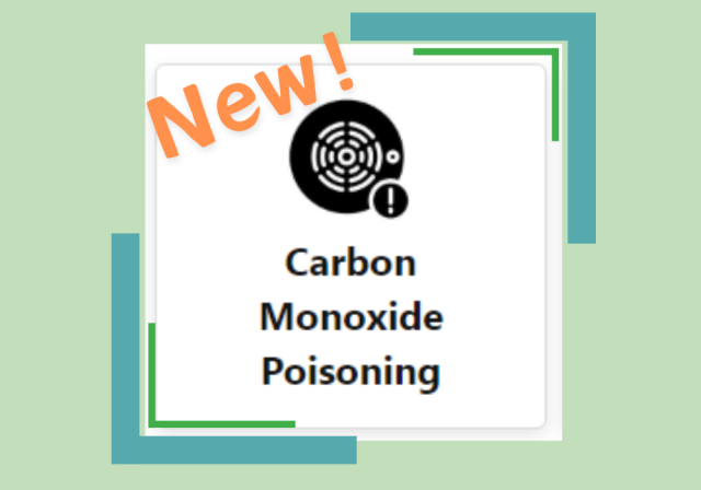 New carbon monoxide data