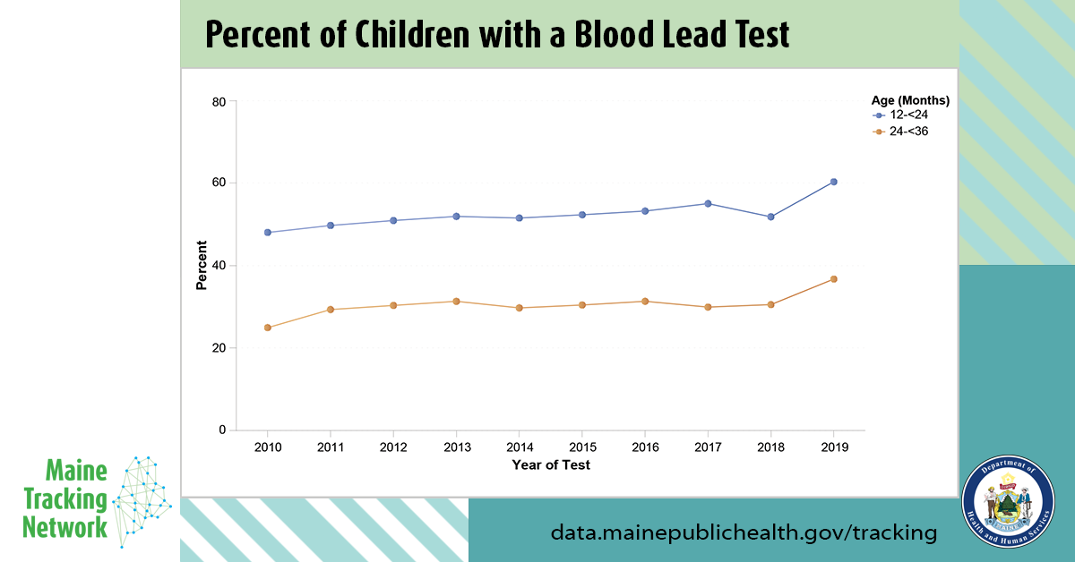 Percent of Children with a Blood Lead Test By Year